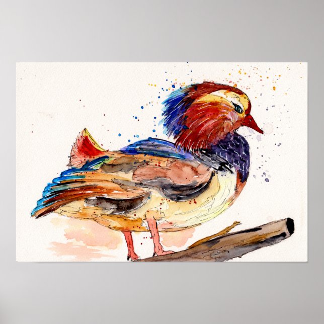 Póster Pato mandarín acuarela (Frente)