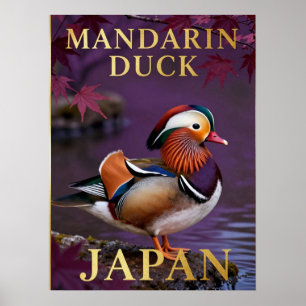 Póster 🦆 Pato mandarín Japón Ave exótica