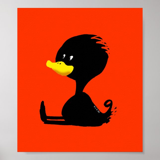 Póster pato negro (Frente)