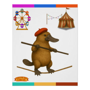 Póster Pato ornitorrinco equilibrista