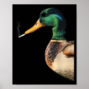 Póster Pato real fumando cigarrillo meme divertido pato r