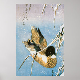 Póster Pato salvaje nadando entre cañas cargadas de nieve