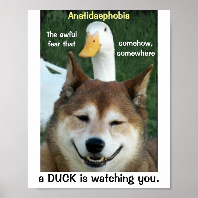 Póster Pato Shiba Inu Perro Anatidaephobia Foto Graciosa  (Frente)
