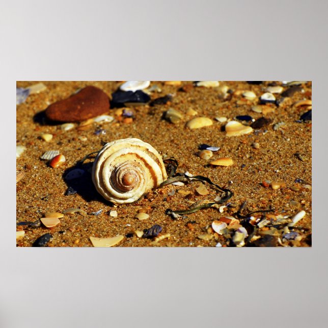 Póster patonga sand (Frente)