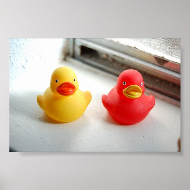 Póster Patos (Frente)