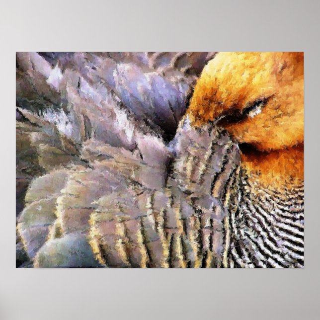 Póster Patos (Frente)