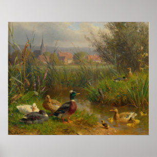 Póster Patos