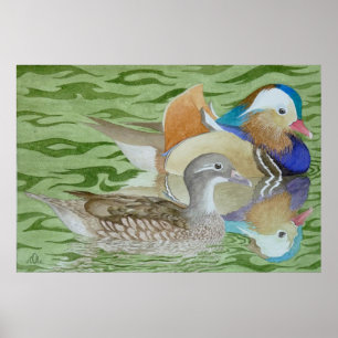 Póster Patos de mandarín en un lago