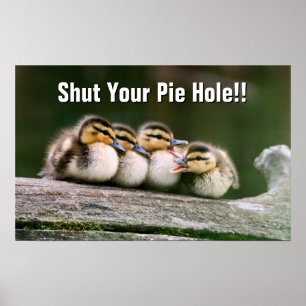 Póster Patos del bebé