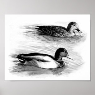 Póster Patos en el lago