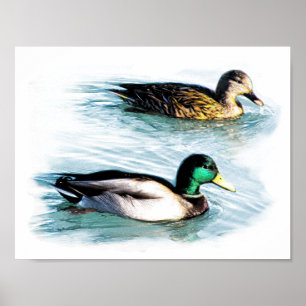 Póster Patos en el lago