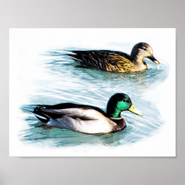 Póster Patos en el lago (Frente)