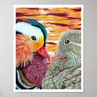 Póster Patos enamorados
