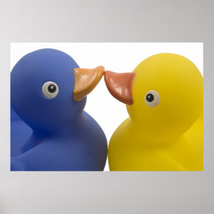 Póster Patos enamorados - poster