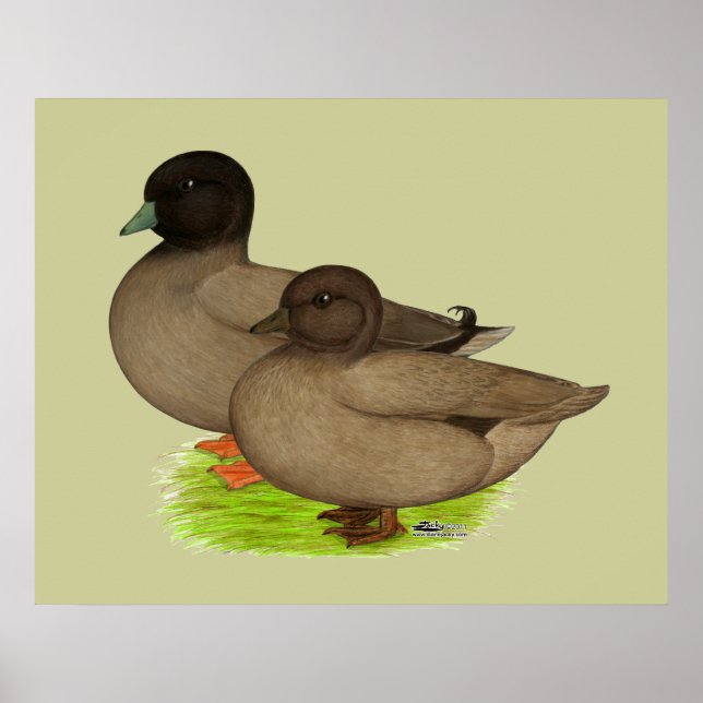 Póster Patos: Llamadas Khaki (Frente)