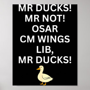 Póster Patos M R D M R No O S M R Cm Wangs Lib M R Patos