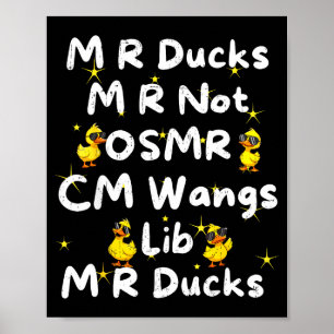 Póster Patos M R Divertidos M R No Osmr Cm Wangs Lib M R