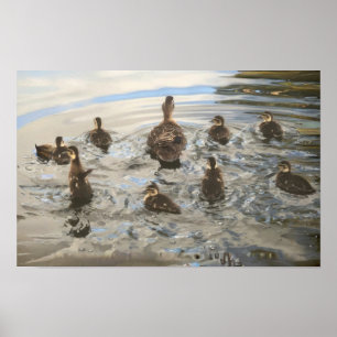 Póster Patos nadando