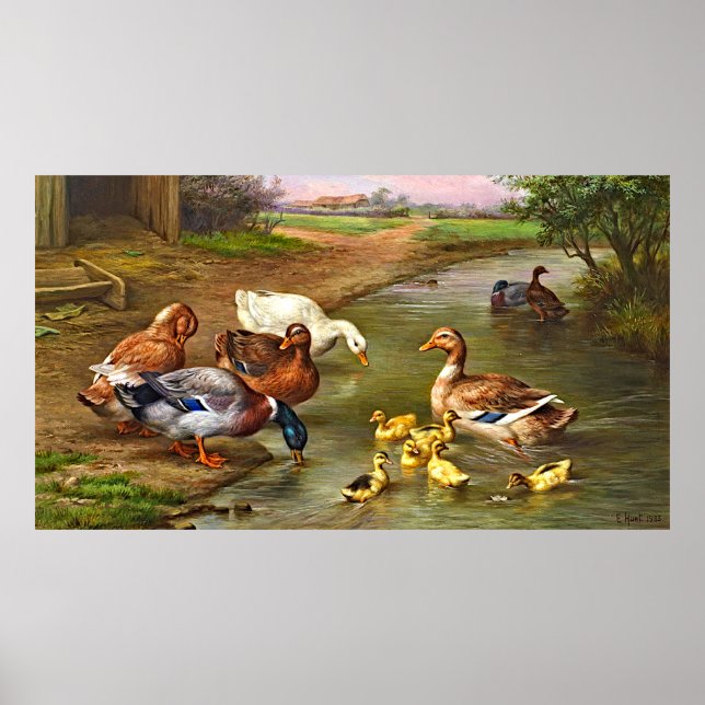 Póster Patos Vintage Ducklings Animales De Granja (Frente)