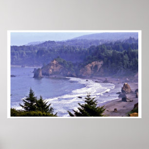 Póster Patrick's Point State Park