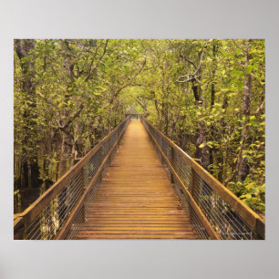 Póster Patrimonio mundial de la UNESCO del parque