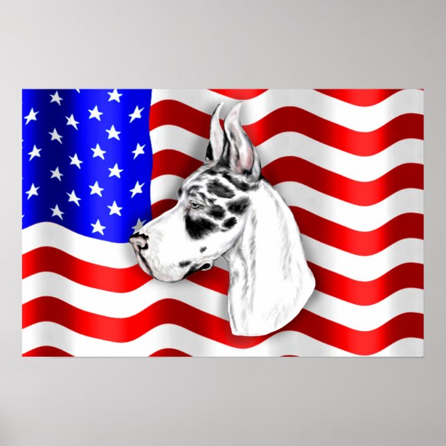 Póster Patriot Dane Harle Poster (Frente)