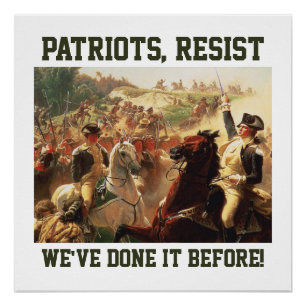 Póster Patriotas resisten ataques a la democracia