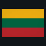 Poster patriótico con bandera de Lituania<br><div class="desc">¡Muestra tu orgullo nacional en estilo audaz con este poster patriótico que cuenta con la vibrante bandera de Lituania! Diseñado para captar la atención e inspirar admiración, este poster de alta calidad exhibe orgullosamente la bandera lituana en un formato claro y llamativo el amarillo, verde y rojo tricolor. Ya sea...</div>