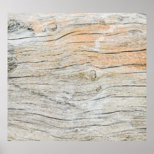 Póster Patrón abstracto de árbol antiguo