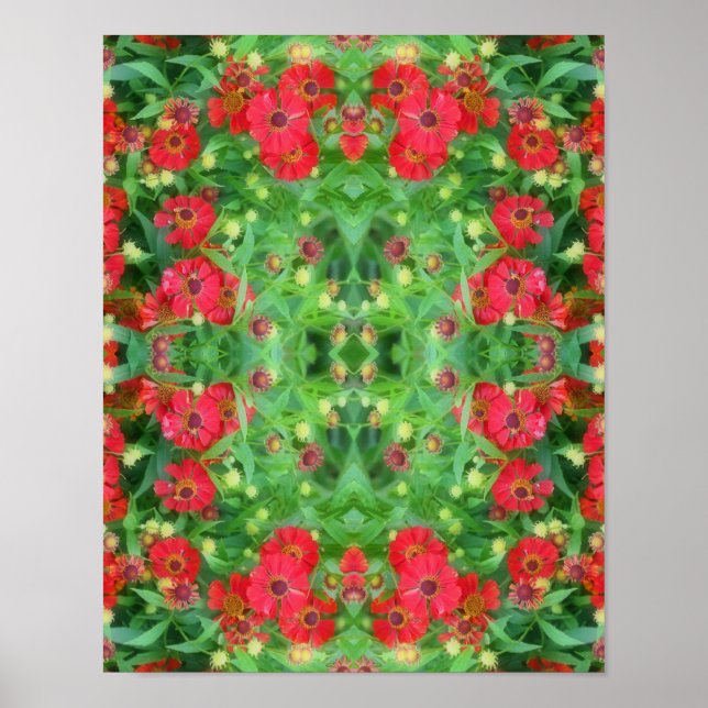 Póster Patrón abstracto de las flores de zinnia roja que  (Frente)