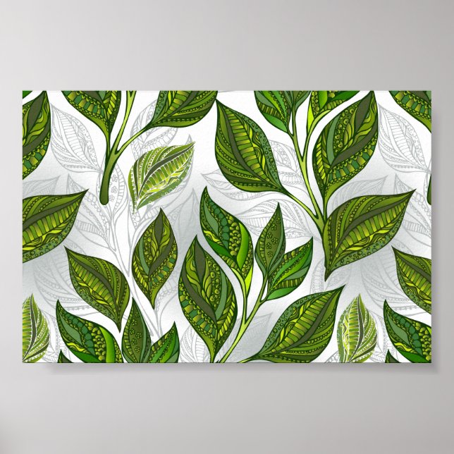 Póster Patrón continuo con hojas de té verde (Frente)