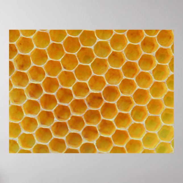 Póster Patrón cuadrado marrón y blanco (Frente)