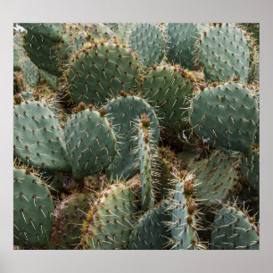 Póster Patrón de cactus: Opuntia ficus-indica de moda.