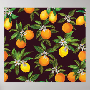 Póster Patrón de cítricos, Naranjas de Lemones Vintage.