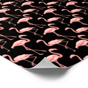 Póster Patrón de Flamenco Ave Rosa Amante de Animales Tro