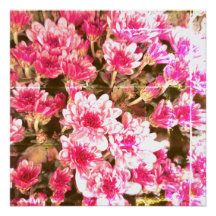 Patrón de Flor de Floración Rosa - Diseño Botánico