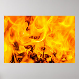 Póster Patrón De Fuego Y Flores