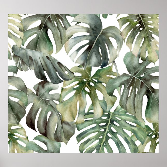 Póster Patrón de gran acuarela de monstera tropical (Frente)