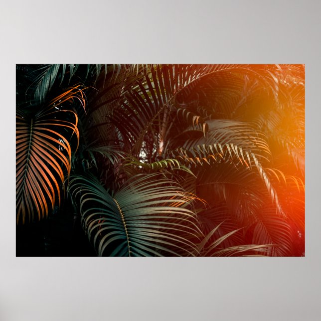 Póster Patrón de hojas de palmera verde oscuro profundo c (Frente)