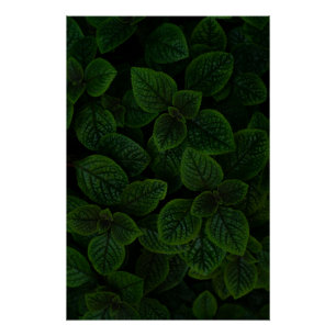 Póster Patrón de hojas texturizadas en verde esmeralda os