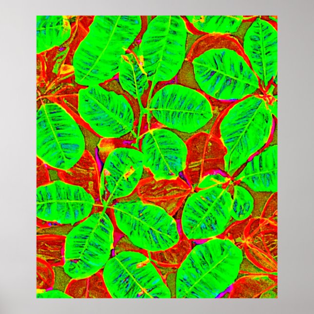 Póster Patrón de hojas verdes (Frente)