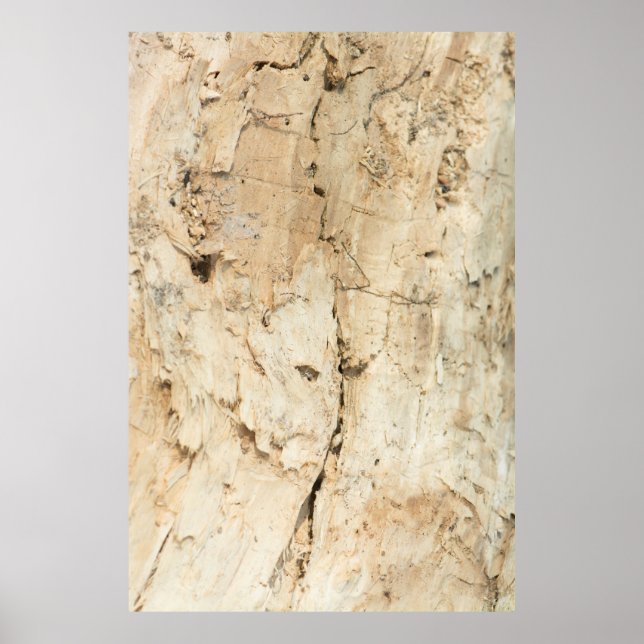 Póster Patrón de madera (Frente)