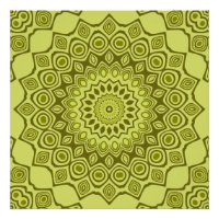 Patrón de Mandala Verde Oliva Groovy
