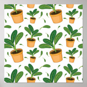 Póster Patrón de planta