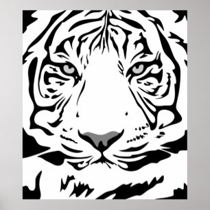 Póster Patrón de tiburón diseño animal plano