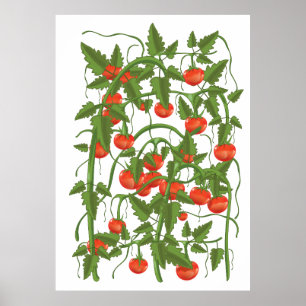 Póster Patrón de tomates