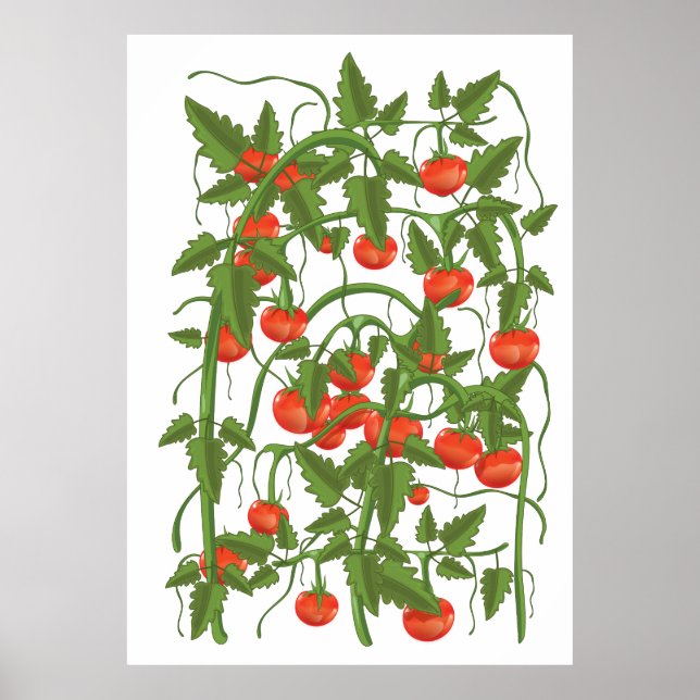 Póster Patrón de tomates (Frente)