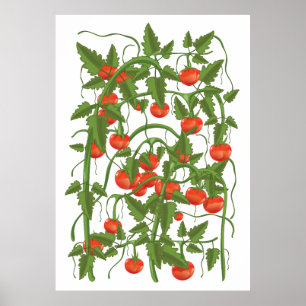 Póster Patrón de tomates