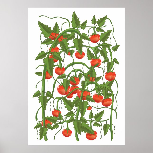 Póster Patrón de tomates (Frente)
