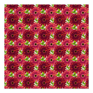 Póster Patrón floral atrevido con mariposas   Rojo vibran